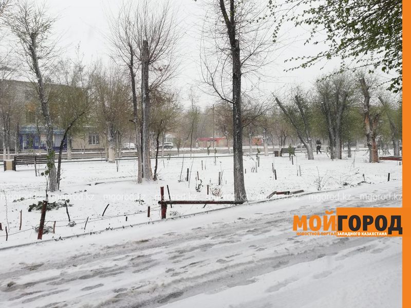 Атырау накрыло снегом: в школах отменены занятия (фото, видео)