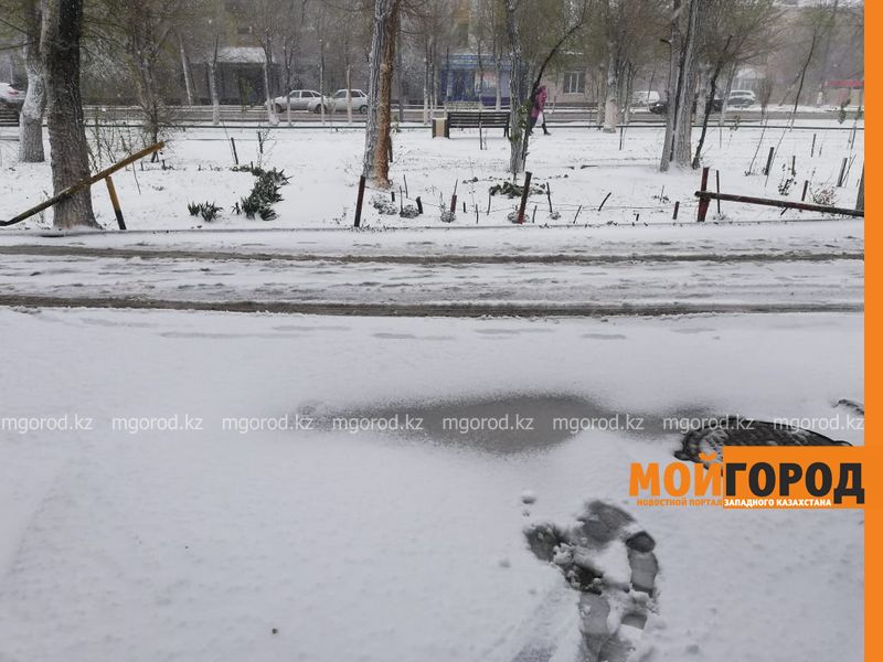 Гололед и туман ожидаются в ЗКО