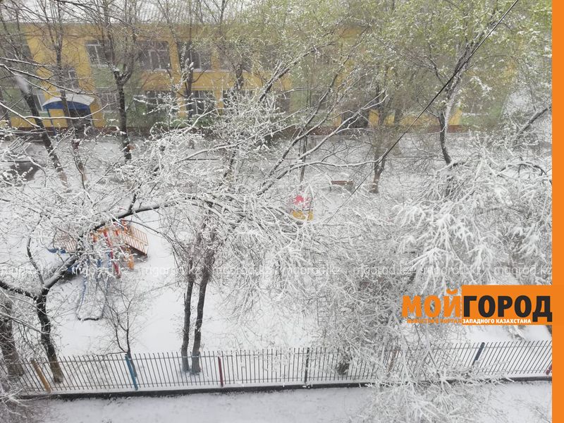 Погода на 17 февраля
