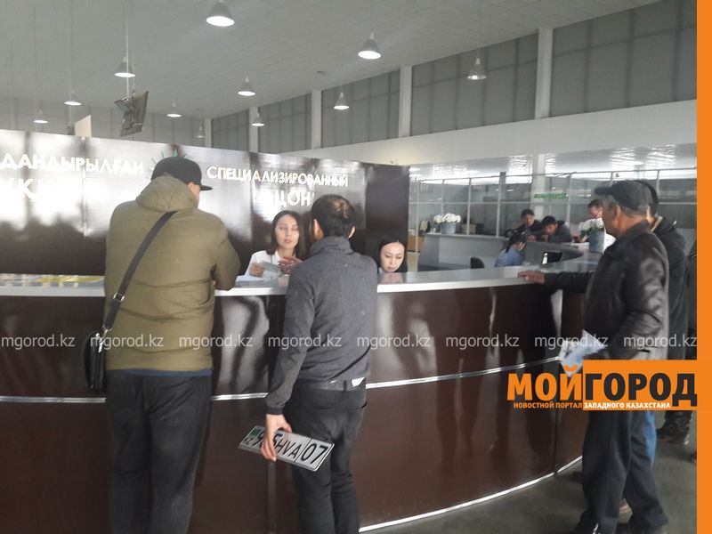 В Уральске можно оформить водительское удостоверение из дома