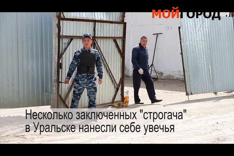 Видеообзор новостей ЗКО за неделю