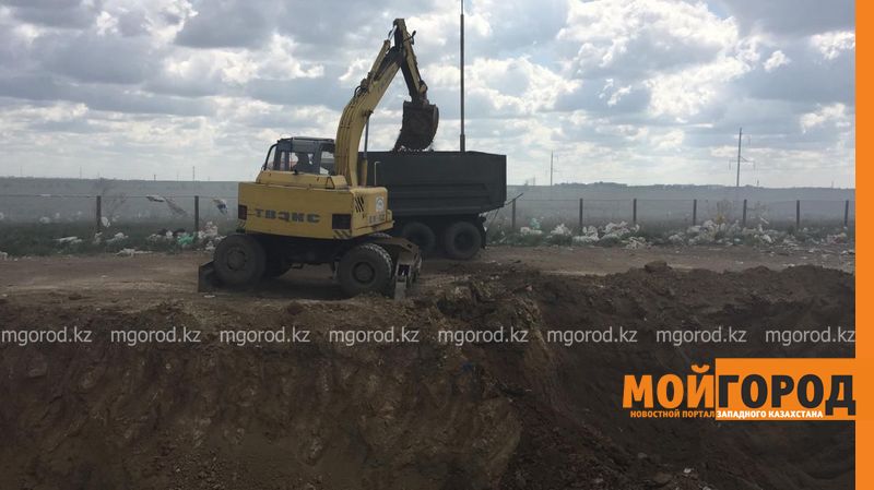 Современный скотомогильник обустроят в Бурлинском районе