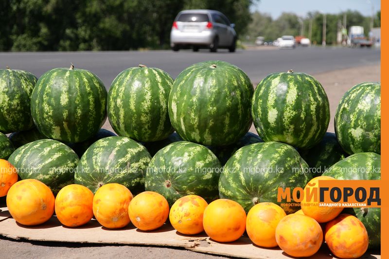 В Уральске начали продавать арбузы и дыни