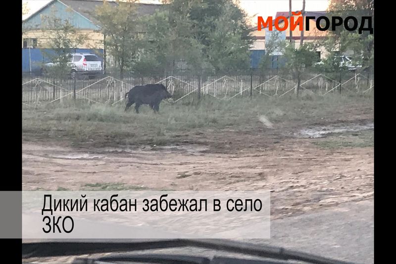 Видеообзор новостей ЗКО за неделю