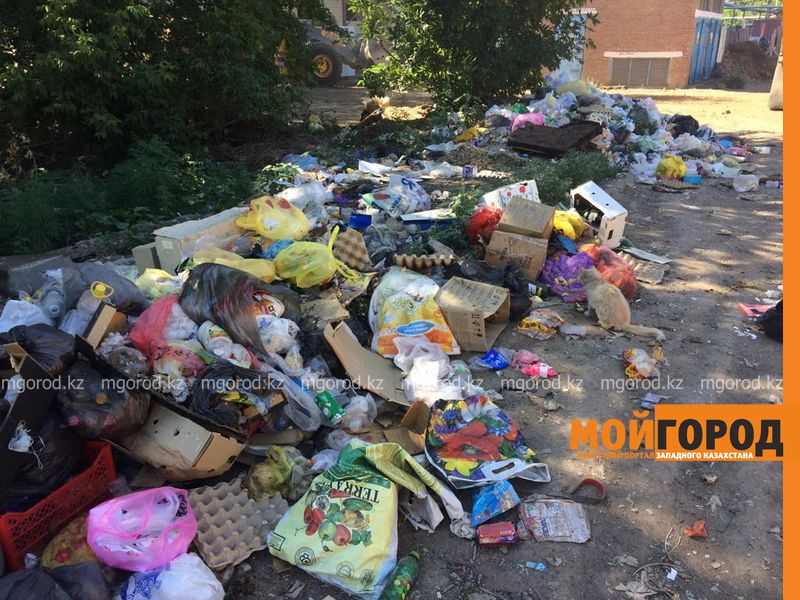 Мусорные контейнеры массово похищают в Уральске