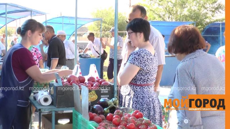 В районах ЗКО будут развивать птицеводство