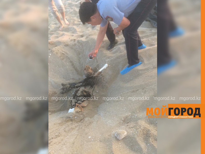 На побережье Каспия обнаружен скелет человека