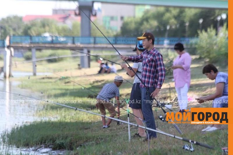 Запрет на рыболовство введен в ЗКО