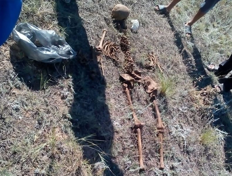 Скелет человека нашли в ЗКО (фото)