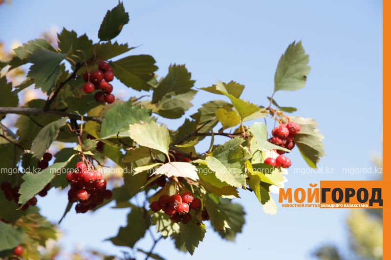 Погода на 14 сентября
