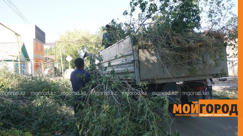 206 кубометров веток после урагана вывезли с центральных улиц Уральска