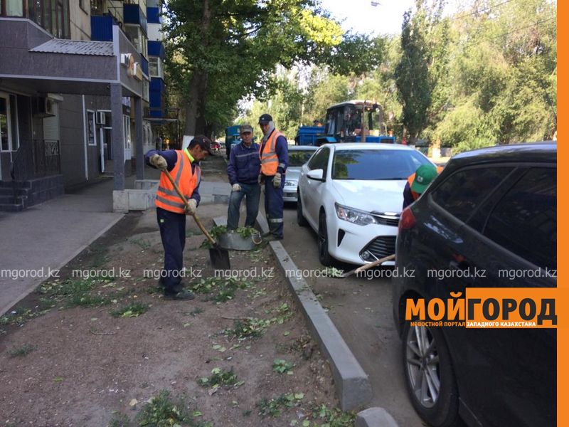 Последствия ураганного ветра устраняют в ЗКО