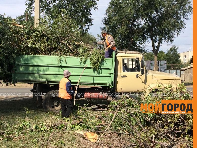 Председатели КСК Уральска пожаловались на высокую траву и сухие ветки