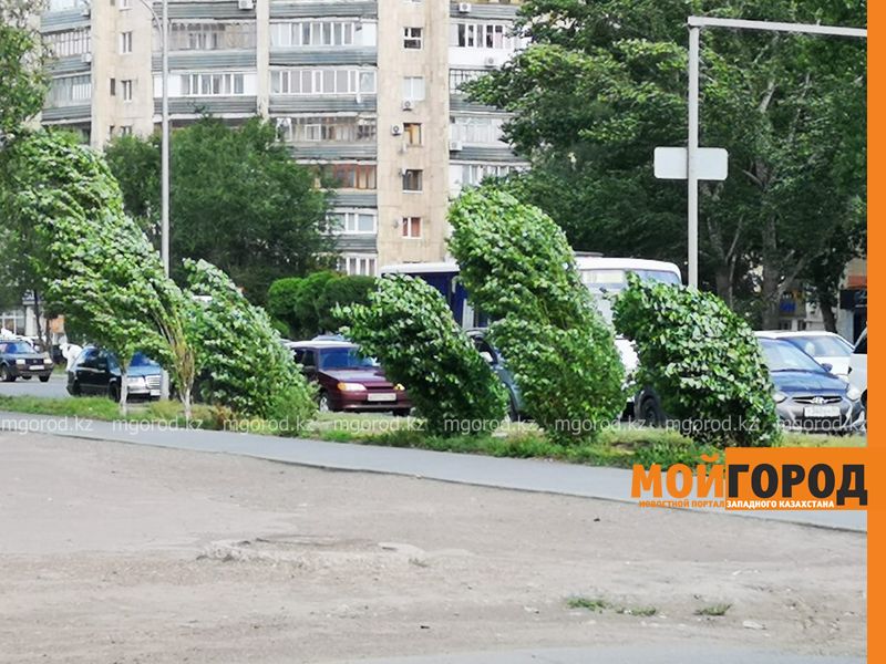 Ураганный ветер прошел в Алматы