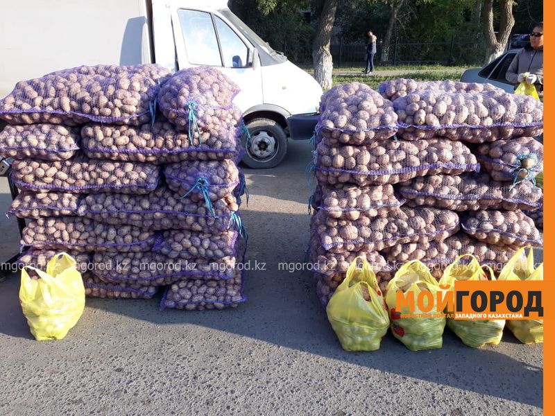 Специальное место для проведения сельхозярмарки оборудуют в Аксае
