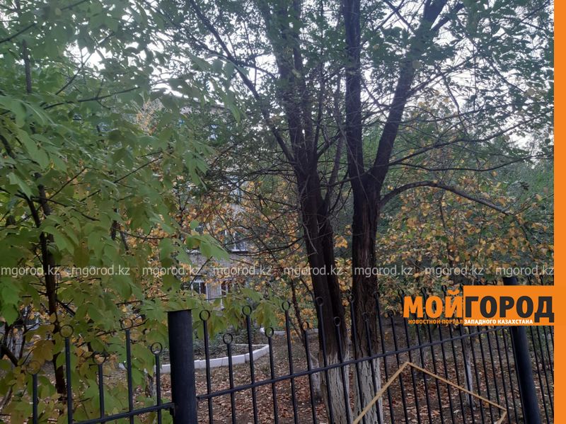 Погода на 19 сентября
