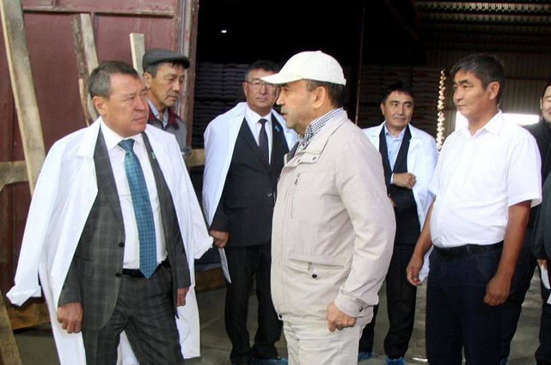 Аграрии ЗКО планируют увеличить экспорт зерна