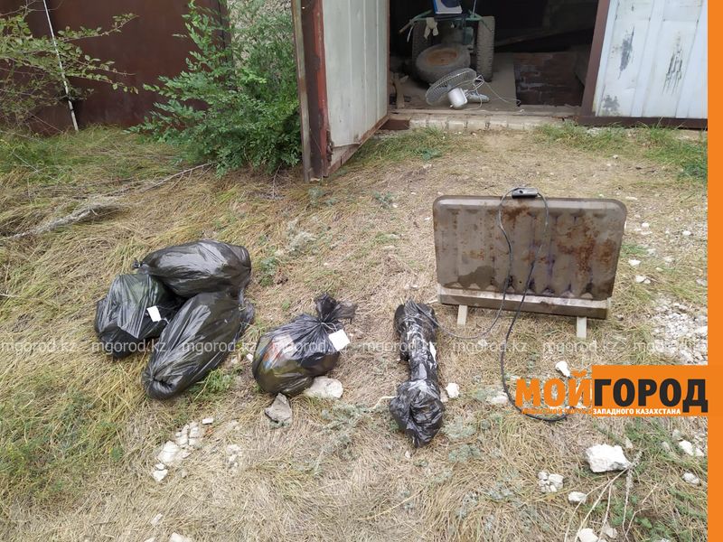 Марихуану выращивал в гараже житель Уральска