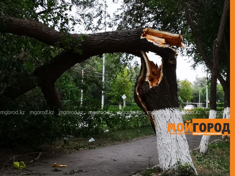 Сильный ветер ожидается в ЗКО