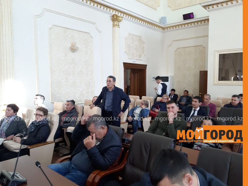 Уральцы выступили против вырубки полутора тысяч деревьев при строительстве моста через Чаган