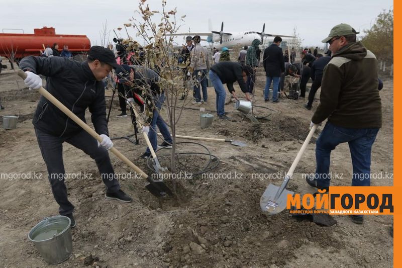 Аким Атырауской области сменил кресло на лопату