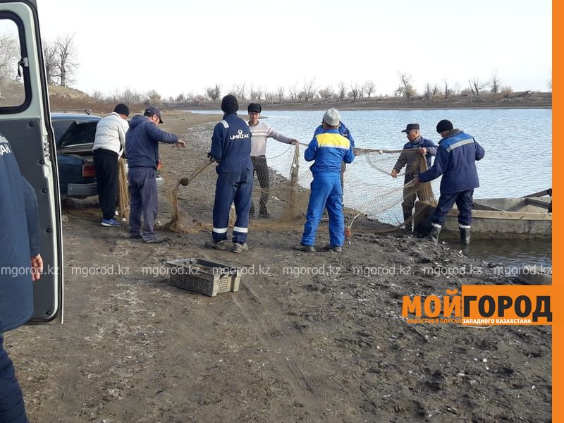 Найдено тело одного из пропавших детей в ЗКО