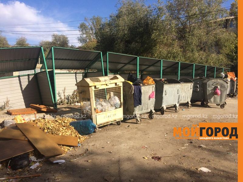 300 новых контейнеров для мусора приобрели в Аксае