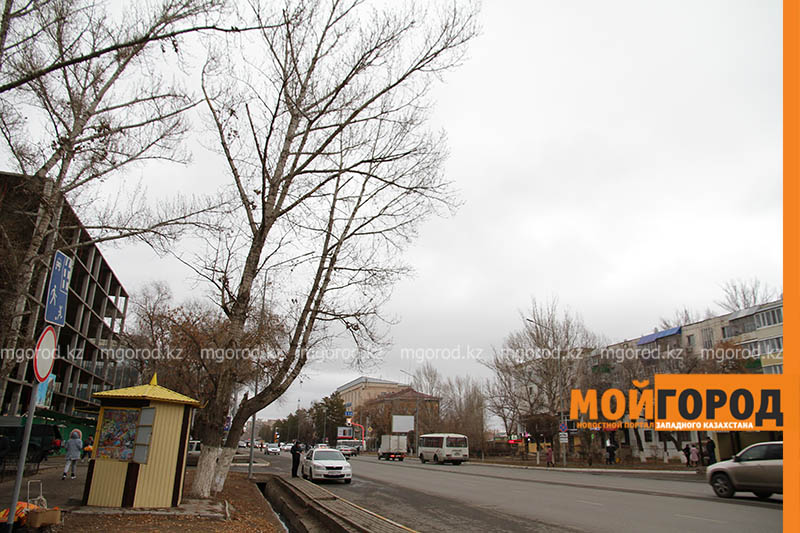 Погода на 28 ноября