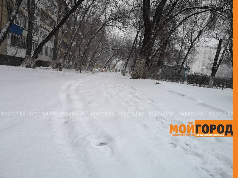 Погода на 1 декабря