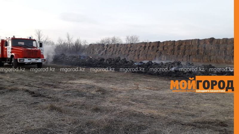 72 тонны сена за сутки сгорело в ЗКО