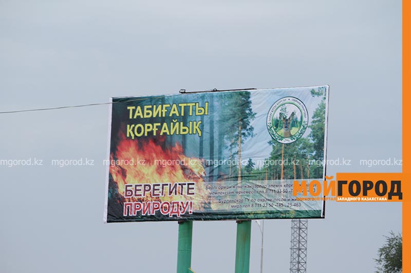 Социальная реклама у нас не работает - аким ЗКО