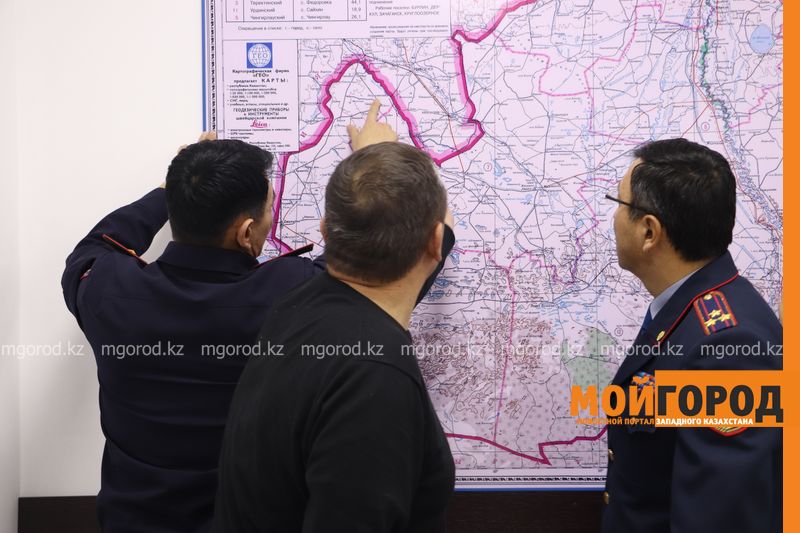 Около 700 сайгачьих рогов изъяли из незаконного оборота в ЗКО