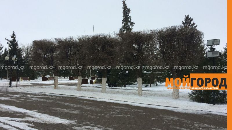 Погода на 31 января