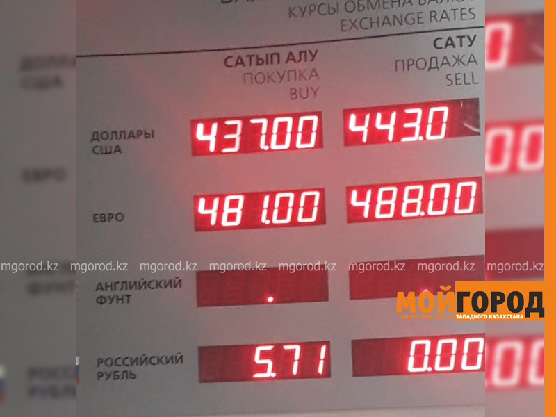 Доллар подорожал в Уральских обменниках