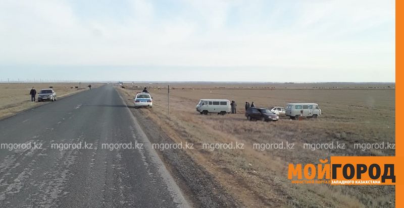 На границах ЗКО с другими областями выставлены блокпосты
