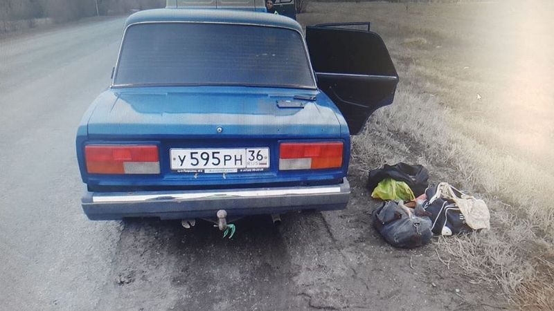 Житель ЗКО задержан с сайгачьими рогами