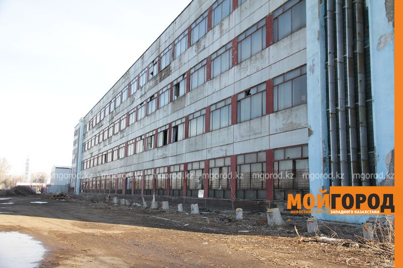 Планом благоустройства объяснили массовую вырубку деревьев в Уральске