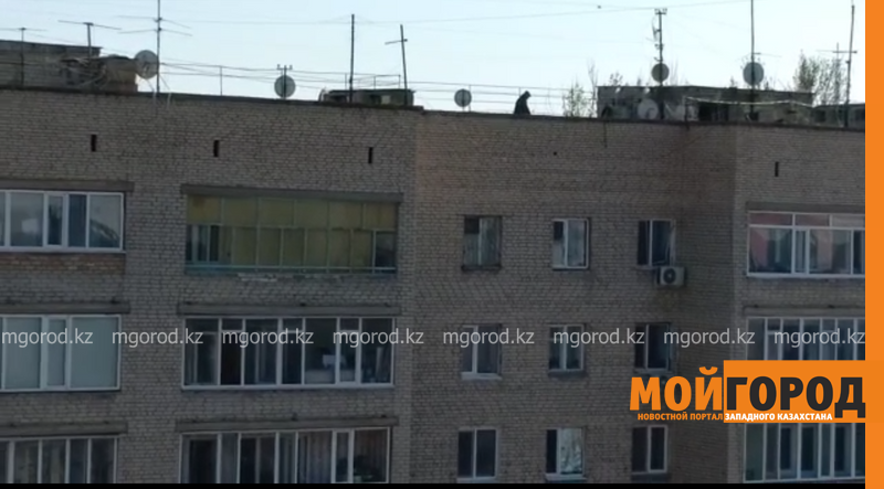 Гуляющего на крыше девятиэтажки мужчину с детской коляской сняли на видео в Уральске (видео)