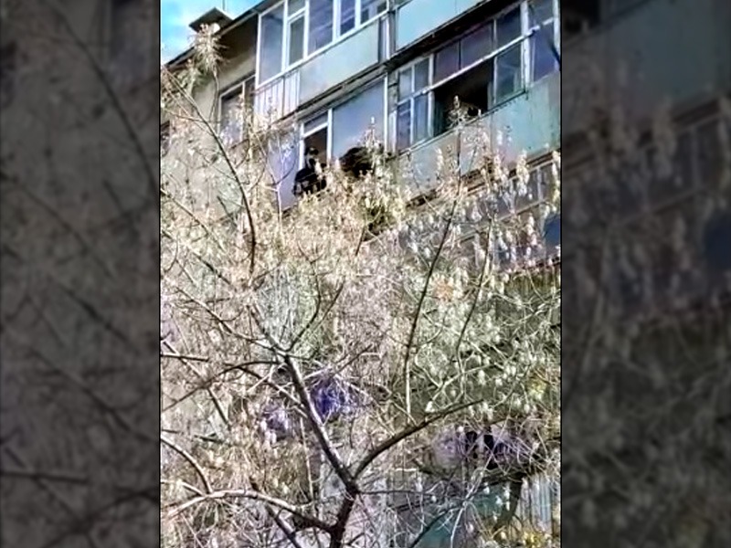 В Актобе мужчина пытался выпрыгнуть с балкона многоэтажки (видео)