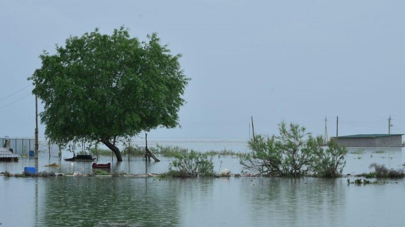 Наводнение в Мактаарале: число затопленных домов выросло до 620