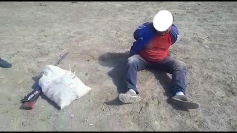 Браконьеров с 15 тушами сайгаков задержали в ЗКО