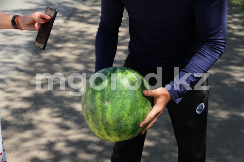 Арбузы начали продавать в Уральске