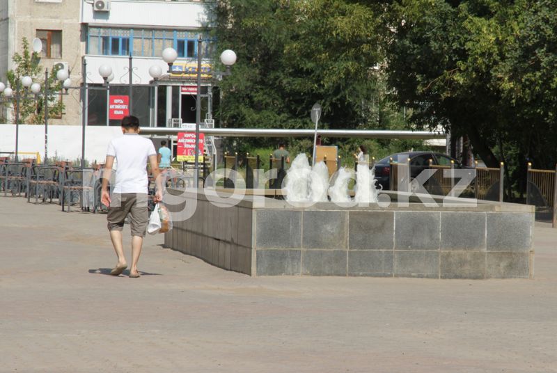 Сильная жара ожидается в Алматинской области
