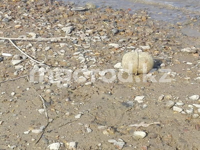 Житель Уральска нашел гранату на берегу Урала