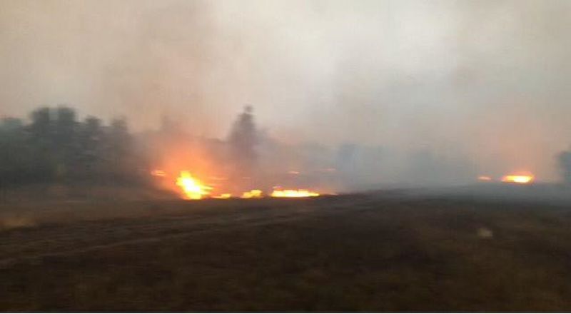 В районе ЗКО подсчитывают ущерб после лесных и степных пожаров