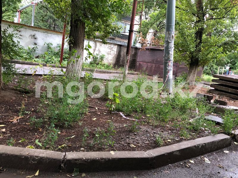 Уральцы пожаловались на заросли травы во дворах многоэтажек