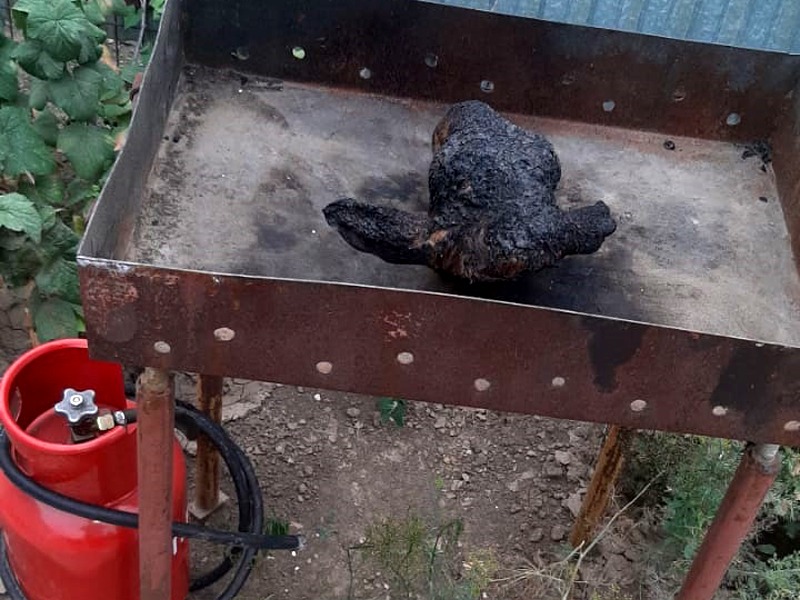 Житель ЗКО получил серьезные ожоги, опаливая голову барана