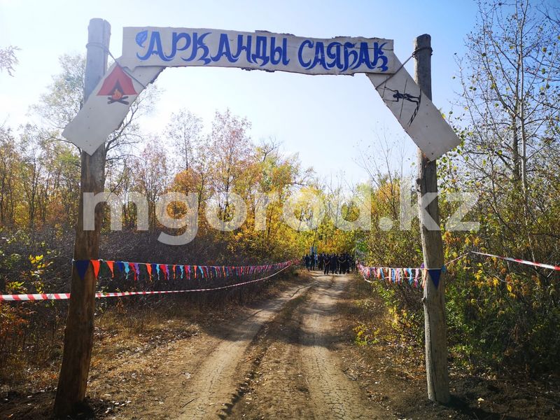 Веревочный парк открыли для уральцев