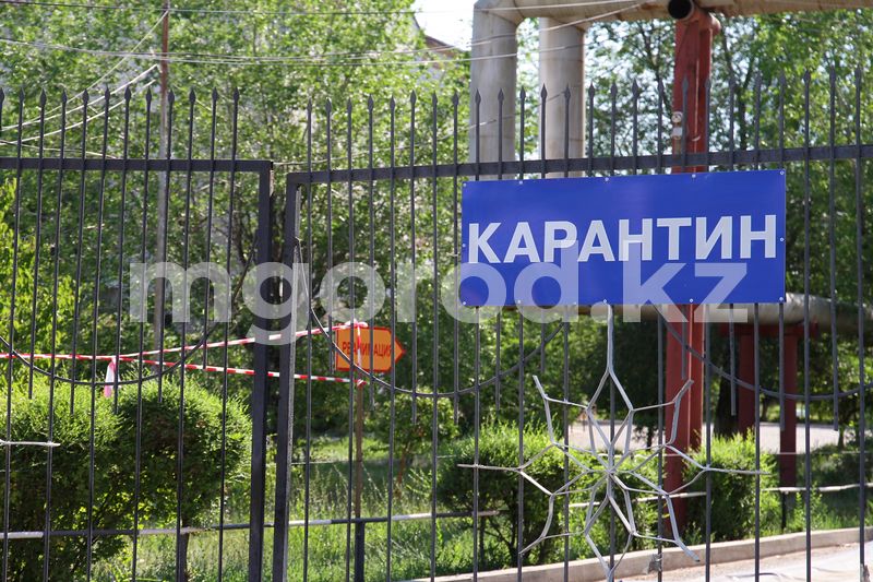 Мамин поручил ослабить карантин для участников Ashyq