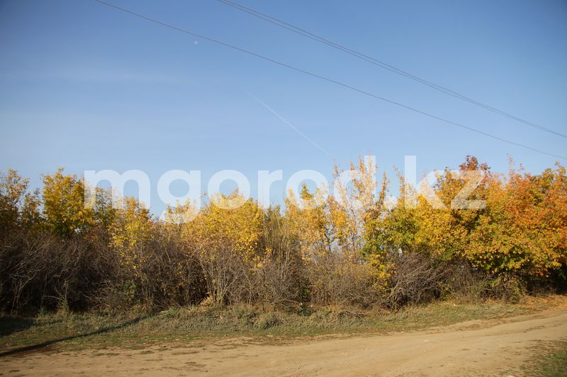 Погода на 13 октября